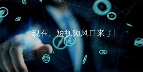 招销售视频,如何高效吸引潜在客户