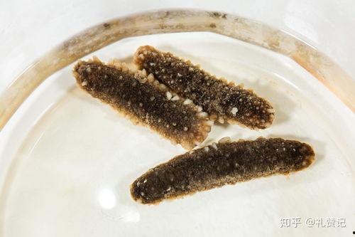 发海参视频,海洋珍品的美味之旅