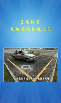 架校科目二视频