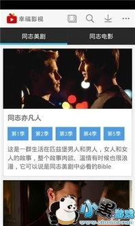 同志视频下载,探索多元文化的视听盛宴