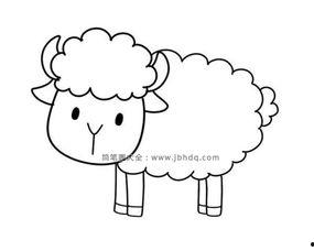 画绵羊视频,跟随视频感受田园牧歌时光