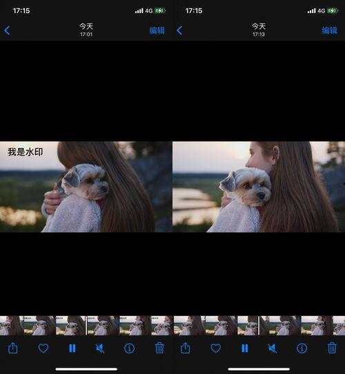 最近看的视频,揭秘最新视频揭示的科学奥秘