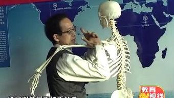 谢庆良美式整脊视频,科学矫正脊椎，健康生活新篇章