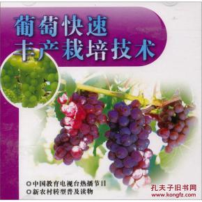 葡萄种植教学视频,从选种到收获的实用教程