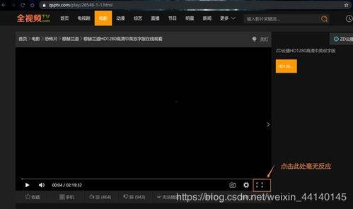 全屏视频素,沉浸式视觉体验解析
